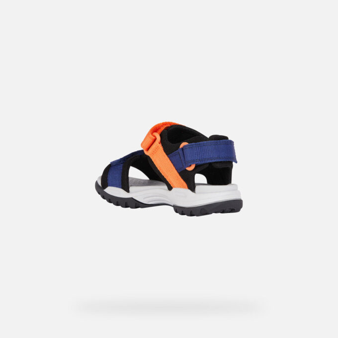 Borealis Junior Borealis Junior