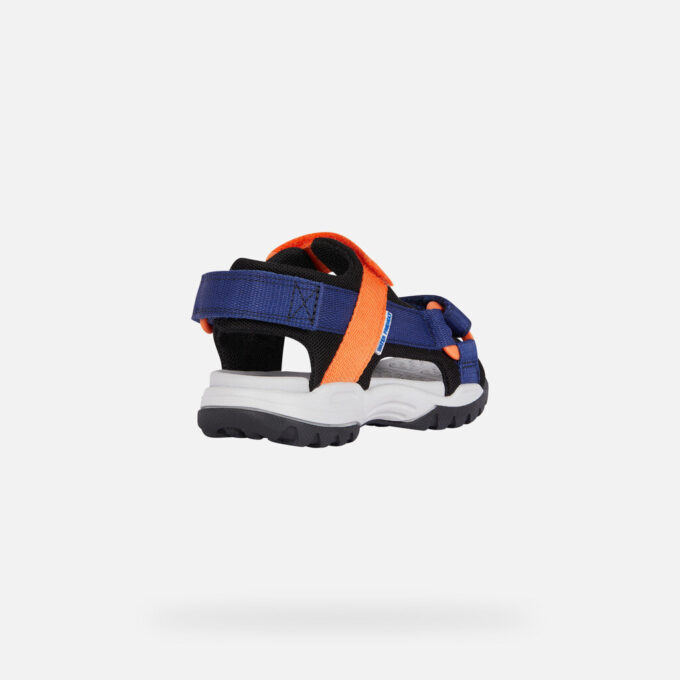 Borealis Junior Borealis Junior