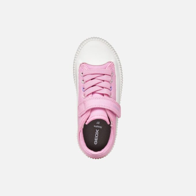 Tippeste Junior Tippeste Junior